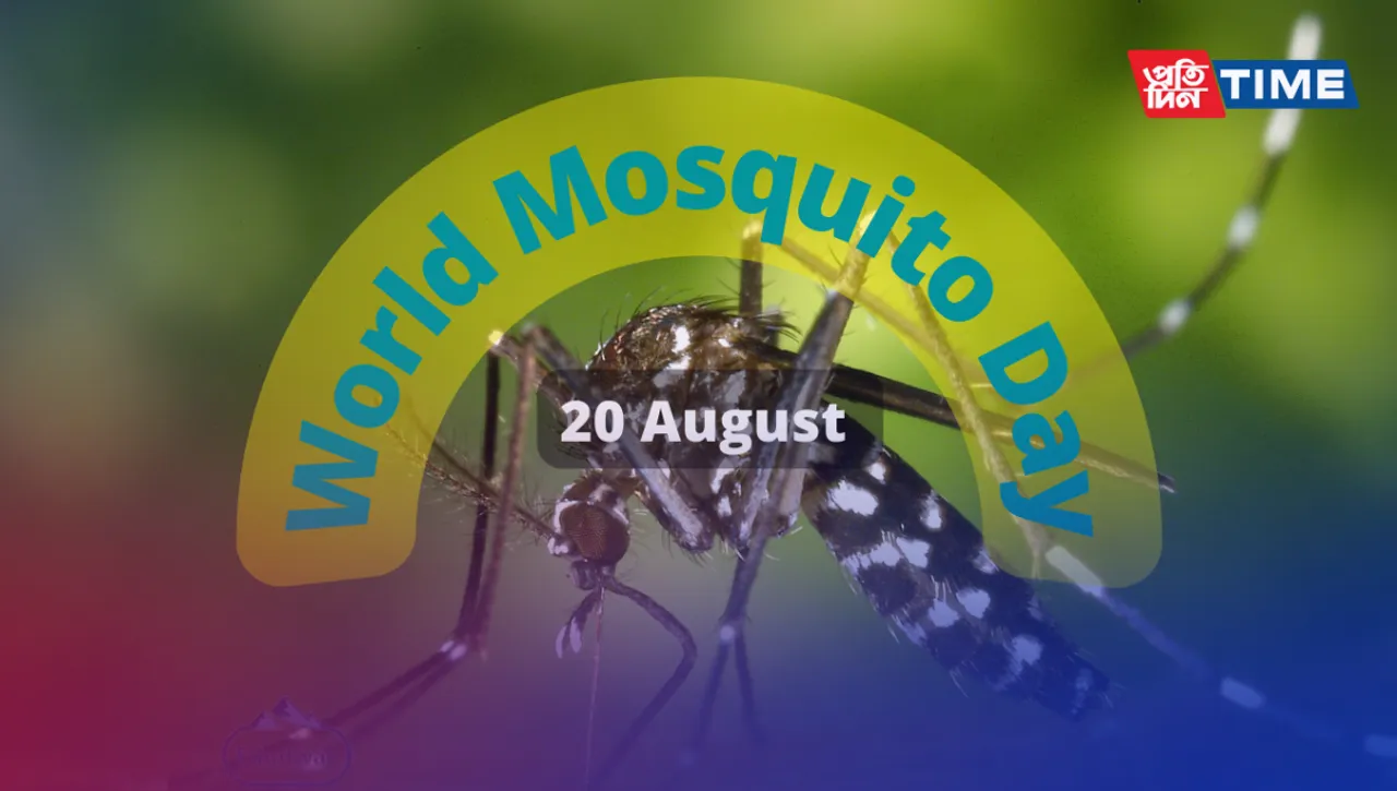 World Mosquito Day 2023: Exploring the Date, Historical Importance, and Celebrations
