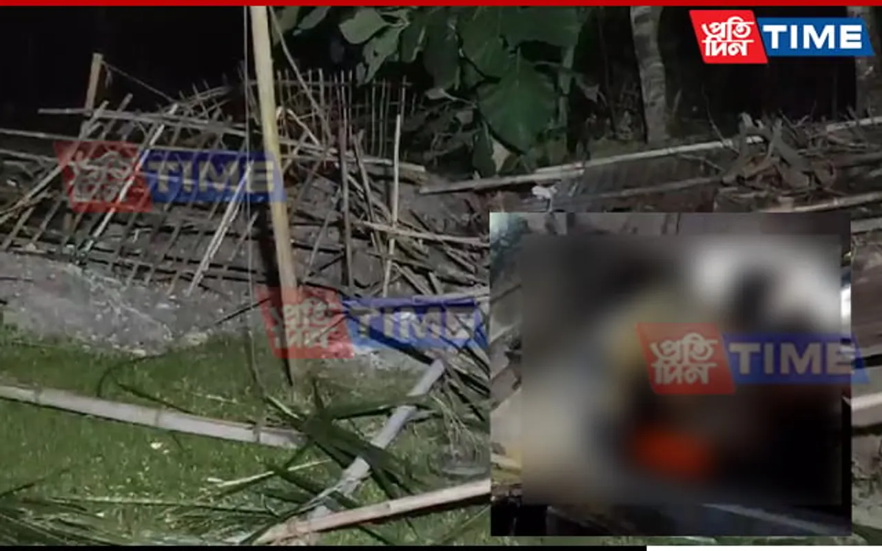 Assam: Forest Official Killed in Elephant Attack in Titabor, 4 Others Injured