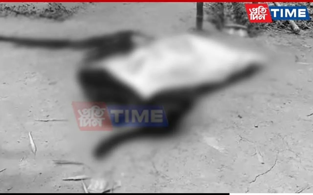 Dibrugarh Shocker: Three Killed in Two Separate Murder Incidents 