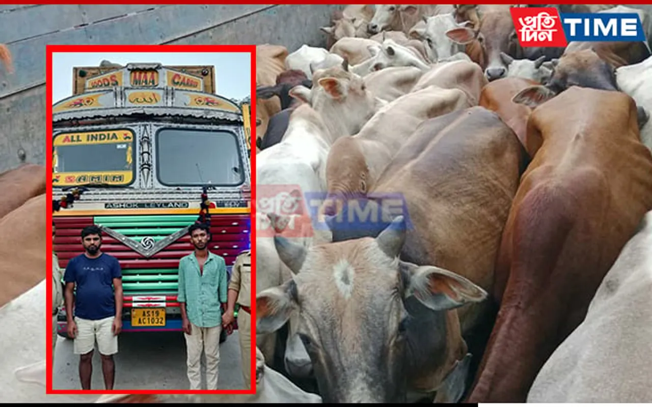 Guwahati Police Rescues 41 Live Cattle from Truck in Jorabat