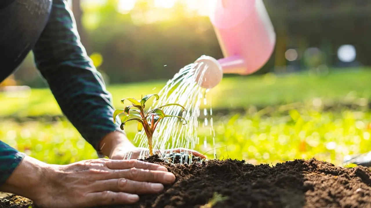 Ministry of Coal Promotes Large-Scale Afforestation Drive on Coal Sector
