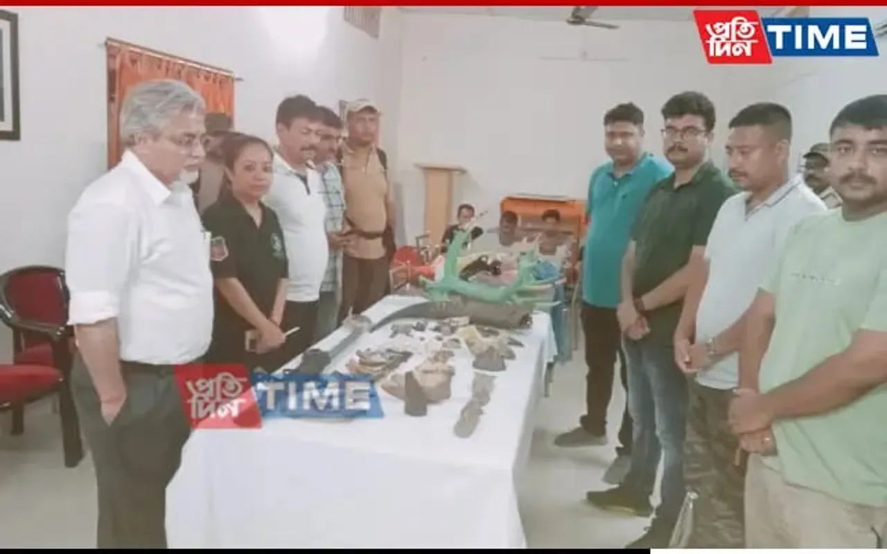 Major Op In Manas NP Ends In Seizure Of Rhino Horn, Other Animal Parts