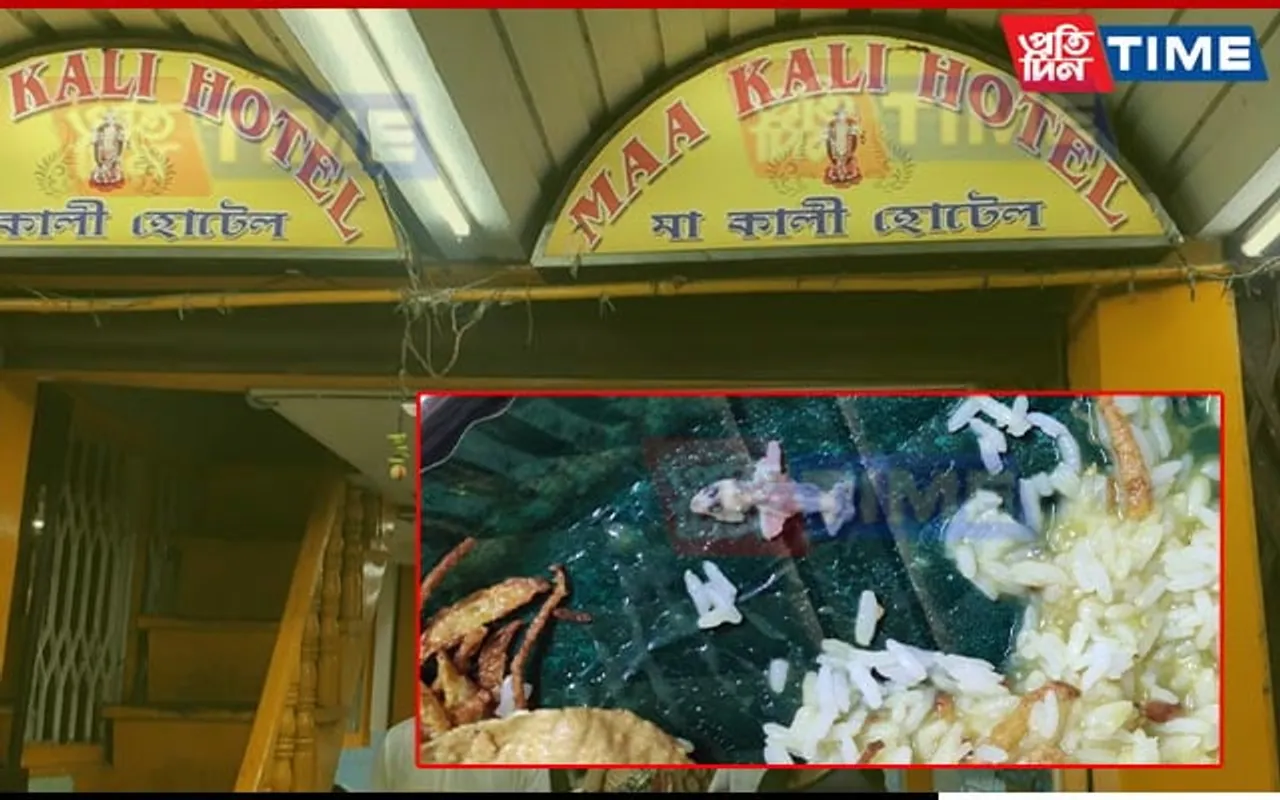 Tension Erupts at Guwahati Hotel After Customer Finds Lizard in Rice Thali