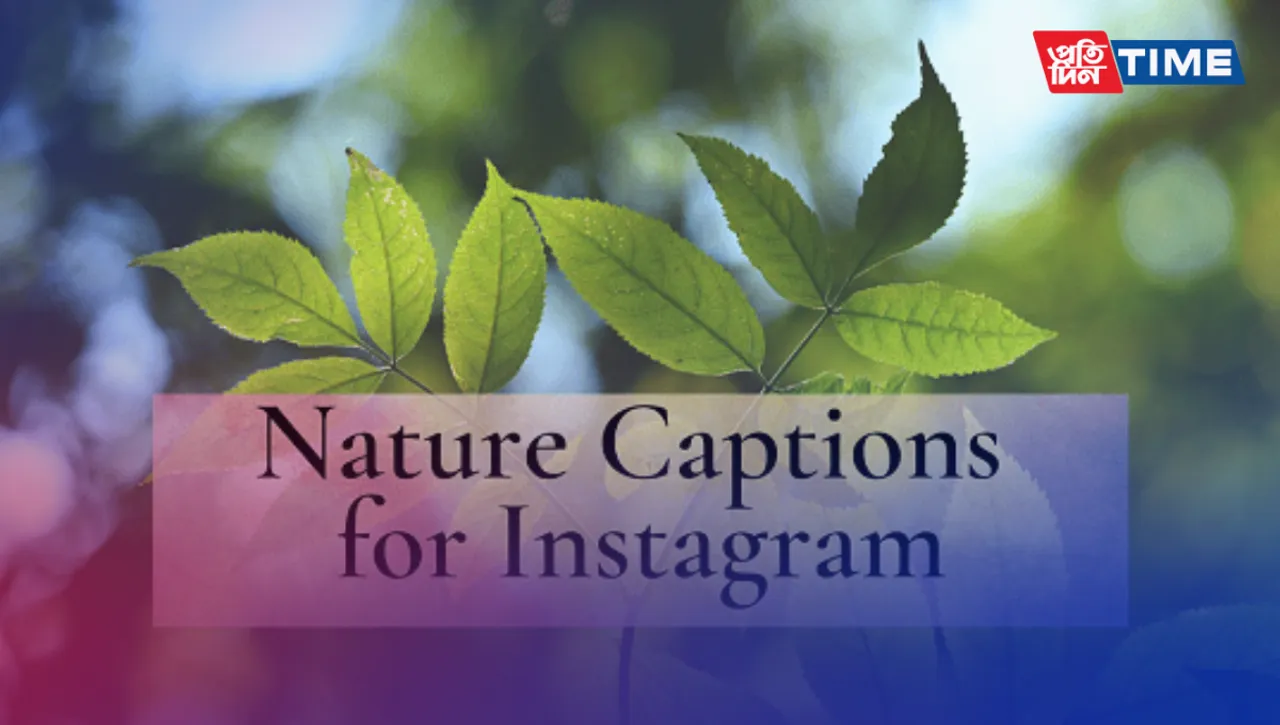300+ of the best Nature captions for Instagram in 2023, Short, Funny, One word, Quotes