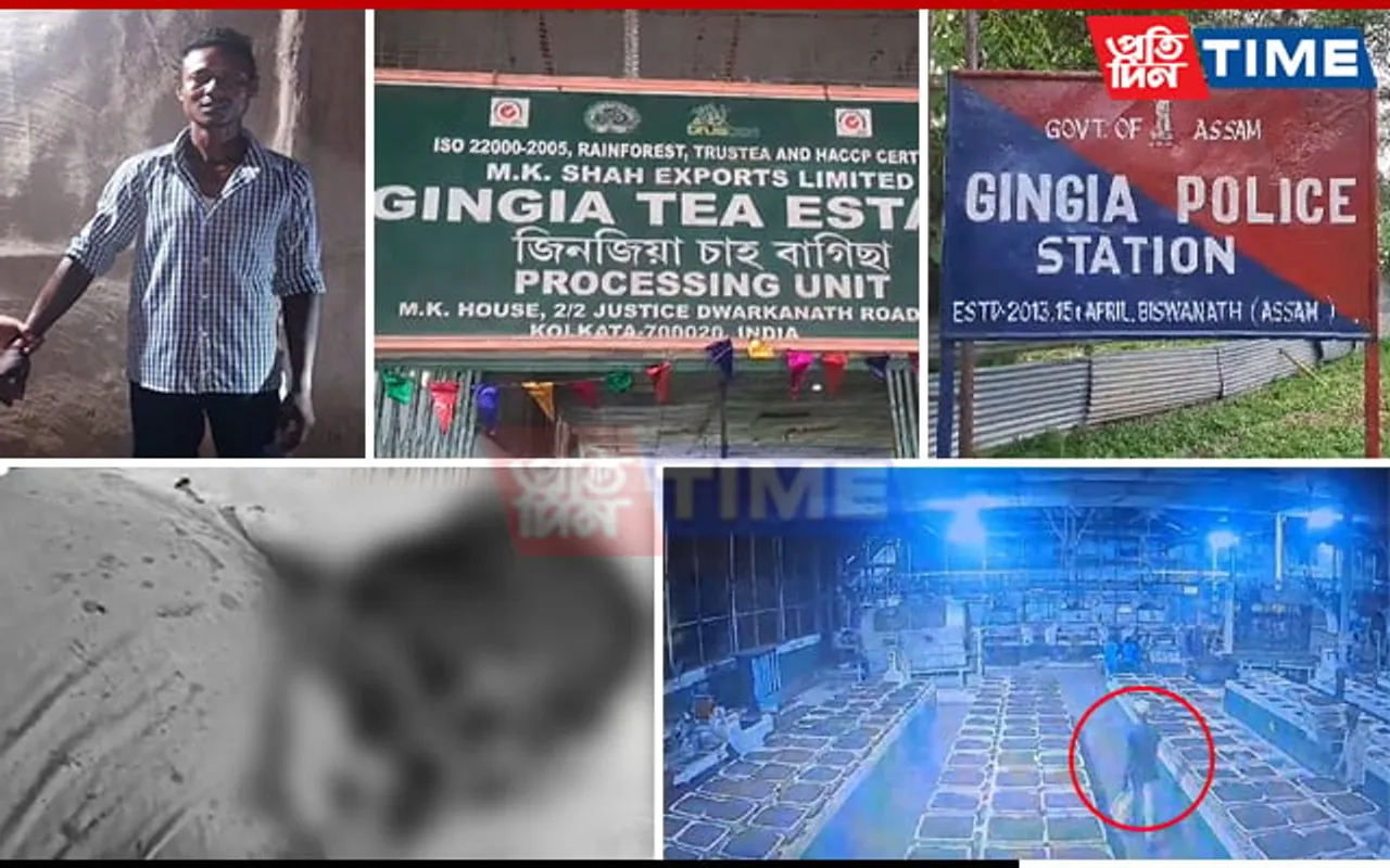 Man Stabbed Multiple Times on Neck Inside Tea Factory in Assam: What Went Wrong?