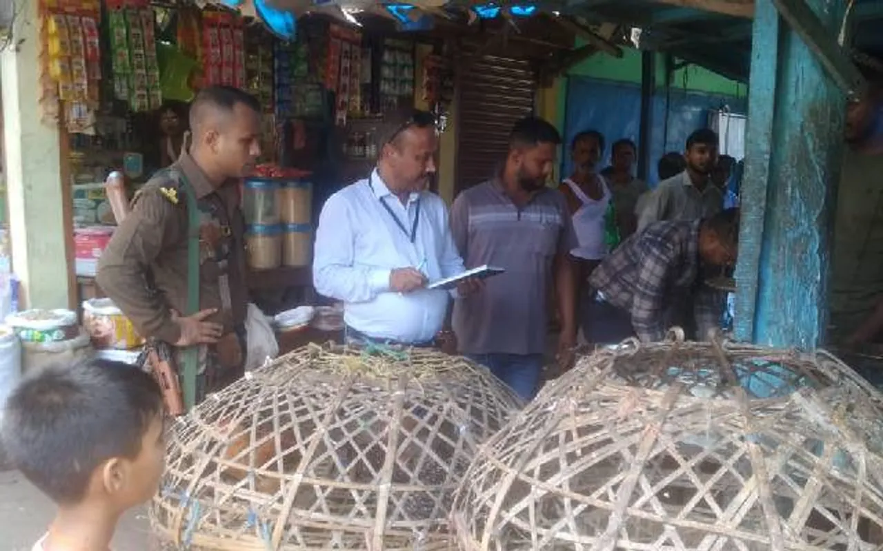 GMC Conducts Drive Against 61 Illegal Meat, Fish Shops