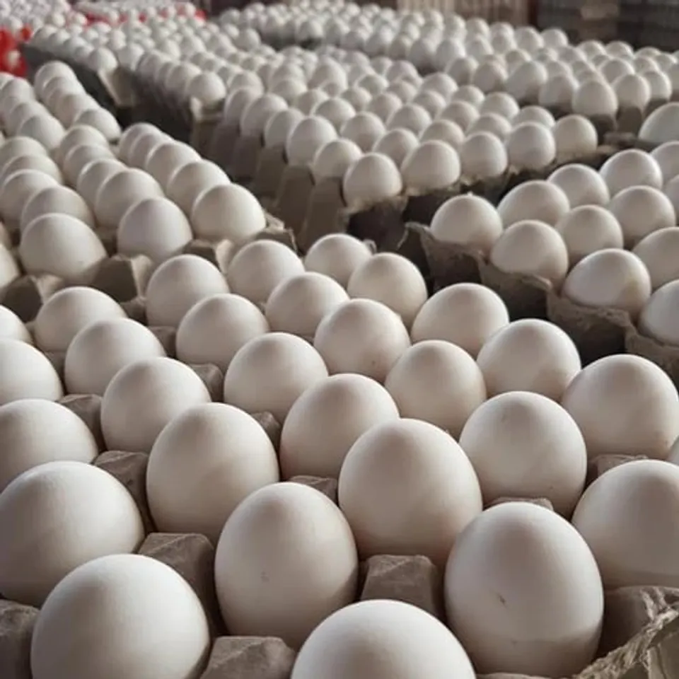 Per Egg Tray Now Costs Rs 200 Instead of 180 in Assam