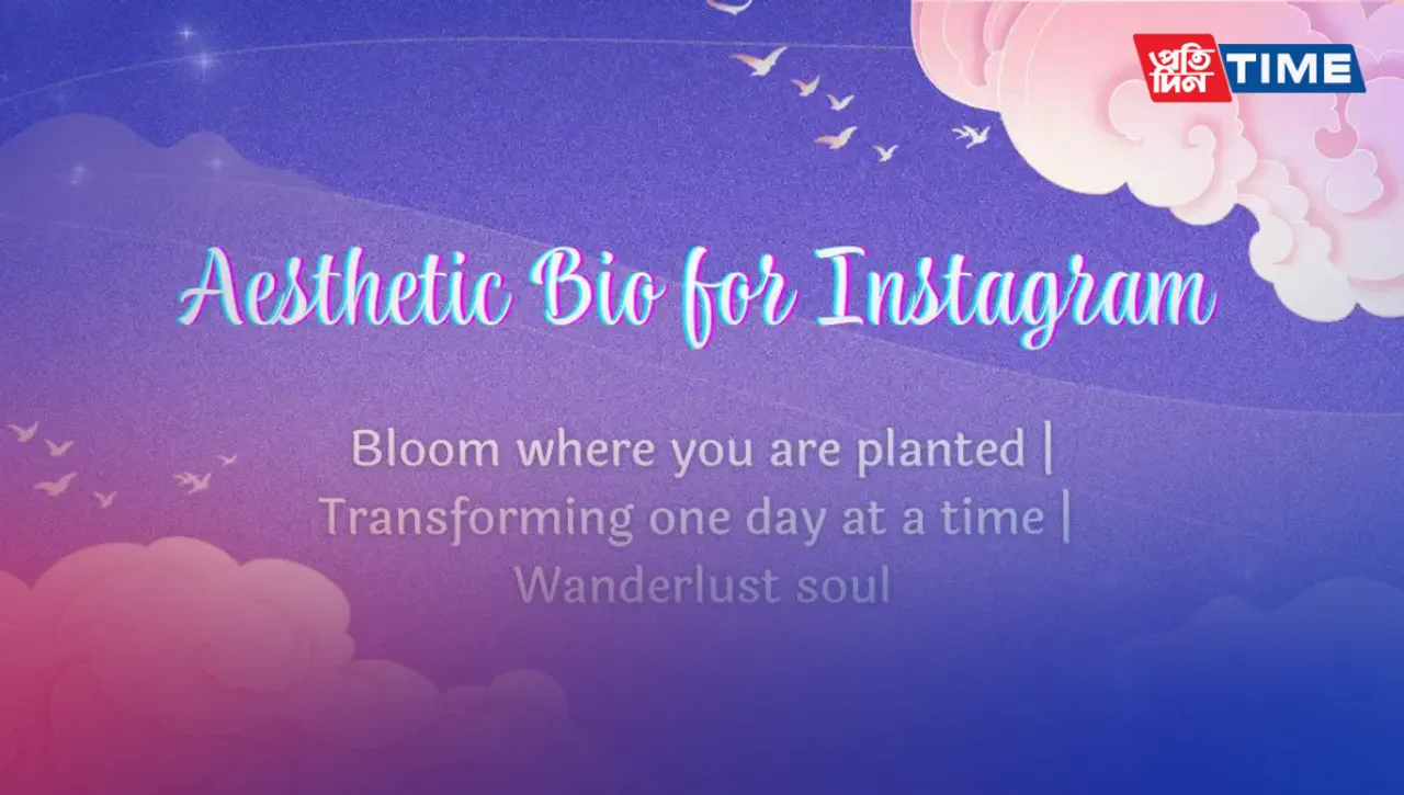 Aesthetic Bios for Instagram: Trending, Short, Aesthetic Boys for Girls and Boys