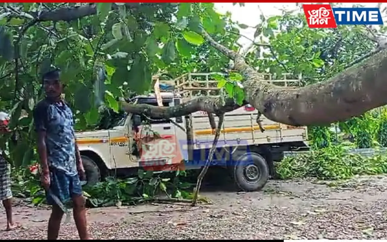 Assam: Narrow Escape For Two Men As Huge Tree Falls on Moving Vehicle
