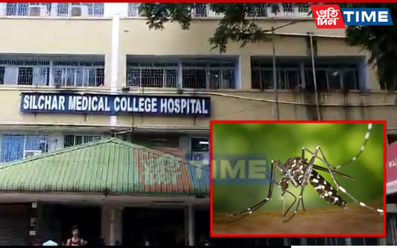 Assam: Spike in Dengue Cases; 1 Dead in Cachar, Over 20 Hospitalized