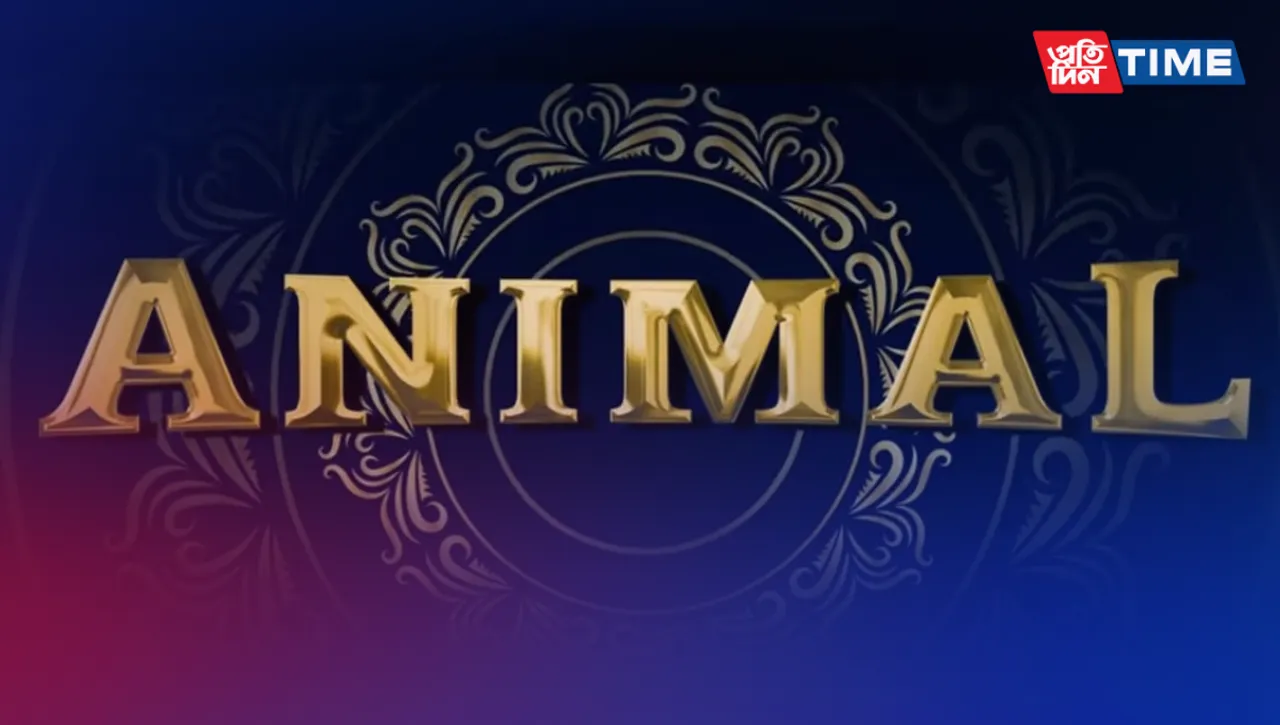 Animal US Release: Get Ready for Ranbir Kapoor's 'Animal' in the US!