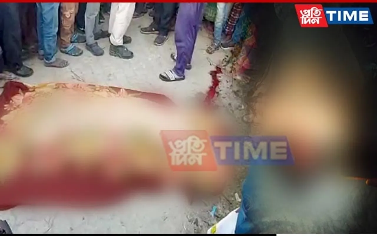 Assam: Minor Girl, Woman Trampled to Death by Wild Jumbos