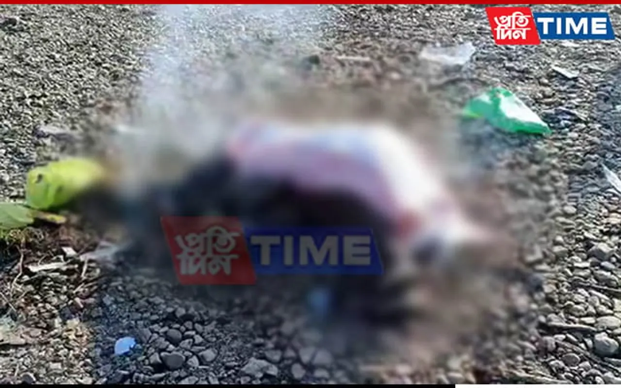 Carcass of Elephant Calf Recovered in Assam’s Boko