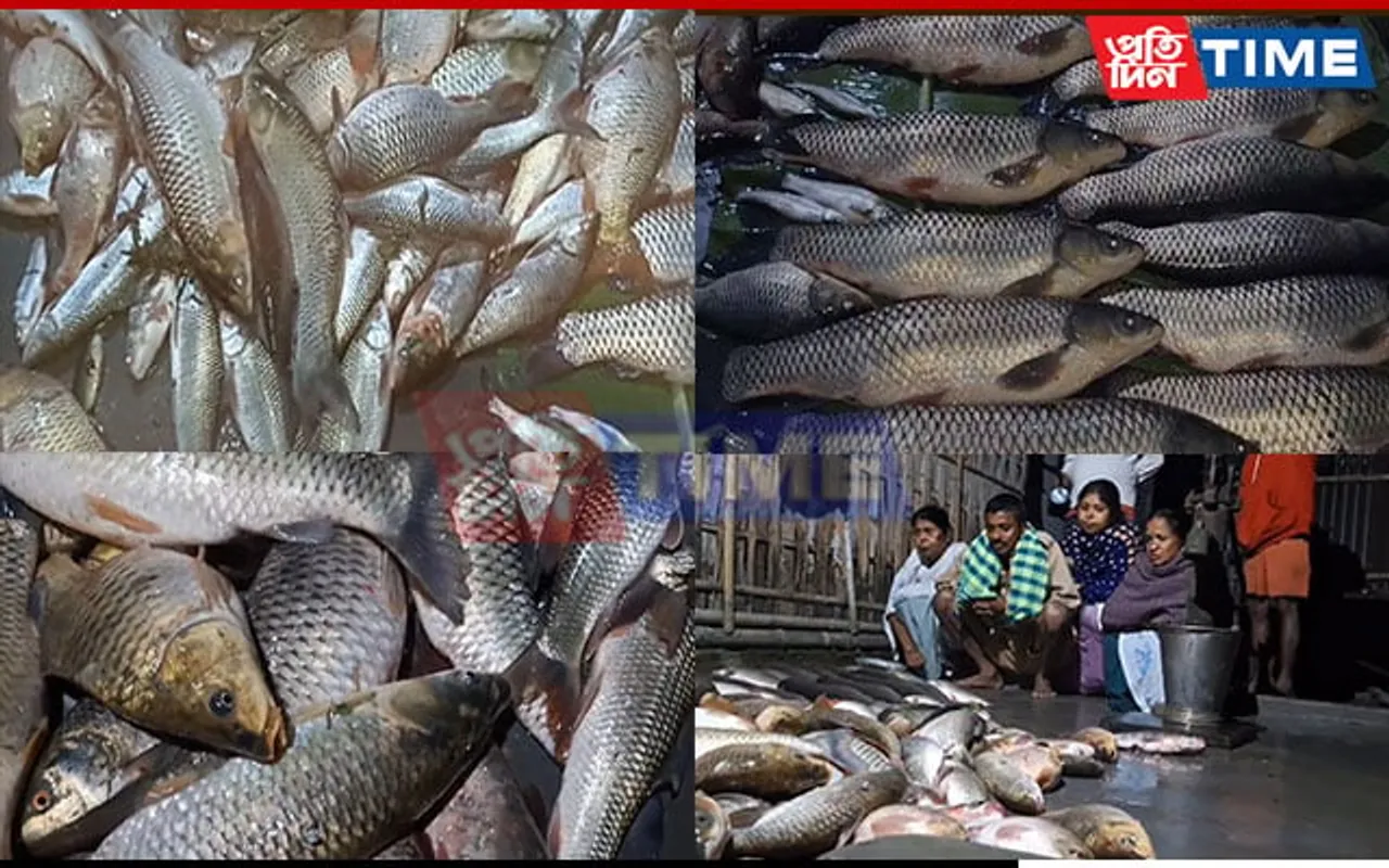 Miscreants Poison Fish Culture Pond in Assam’s Kaliabor, Inflict Loss of Rs 1.5 Lakh