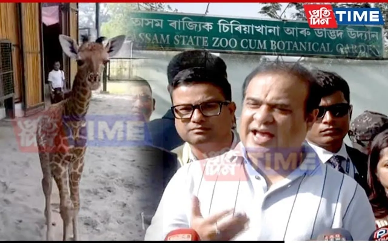 Assam CM Names Baby Giraffe 'Parijat'; Announces Rs 350 Crore Overhaul Of State Zoo