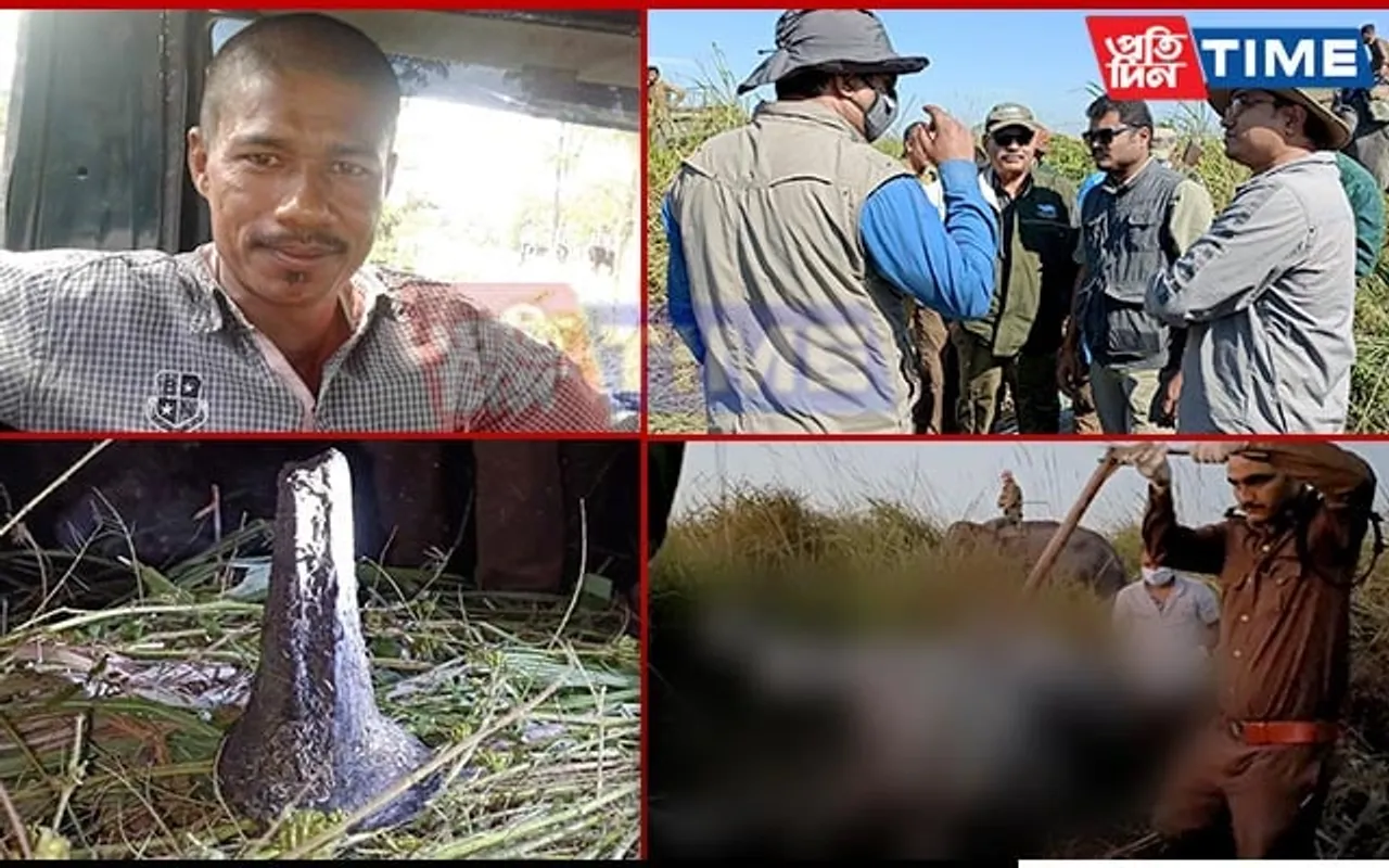Man Arrested for Killing Rhino at Kaziranga with Spear Sent to Judicial Custody