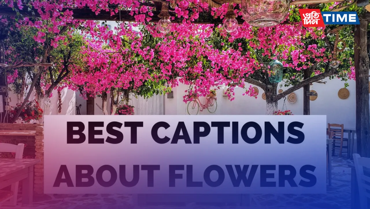 150+ Flower Captions For Instagram