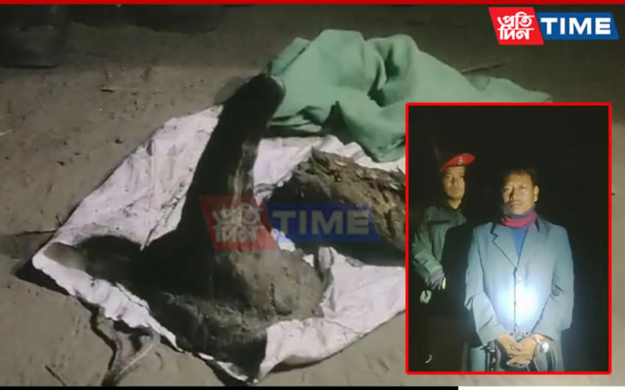 Poacher Arrested, Rhino Horn Recovered in Assam's Golaghat