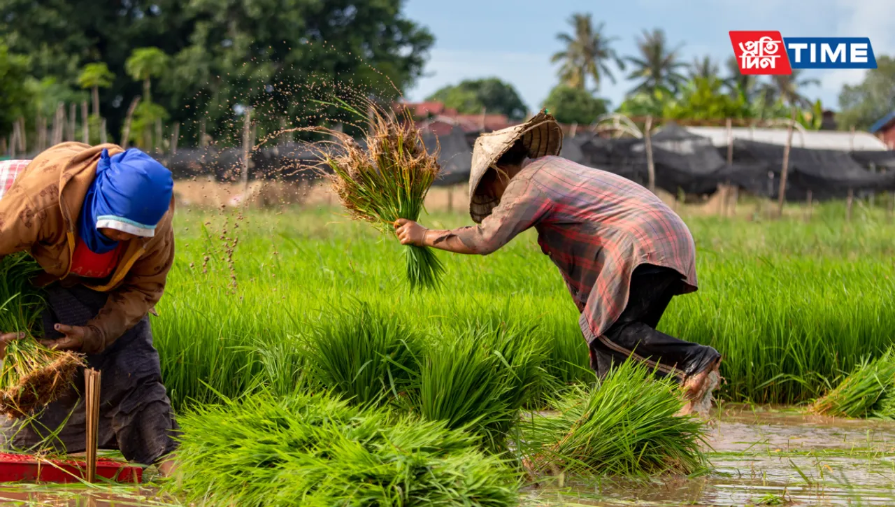 PM Kisan Samman Nidhi Yojana: 16th Instalment to Roll Out by Month-End