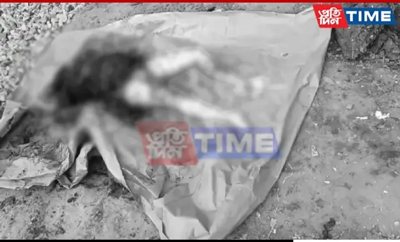 Guwahati: Unidentified Woman Found Dead In Dumpster, Probe Launched