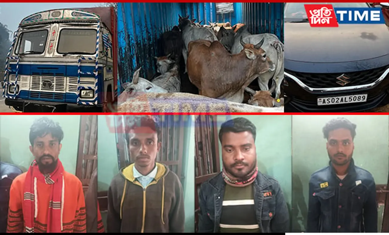 Assam: Police Intercept Vehicle Escorting Stolen Cattle, 4 Apprehended