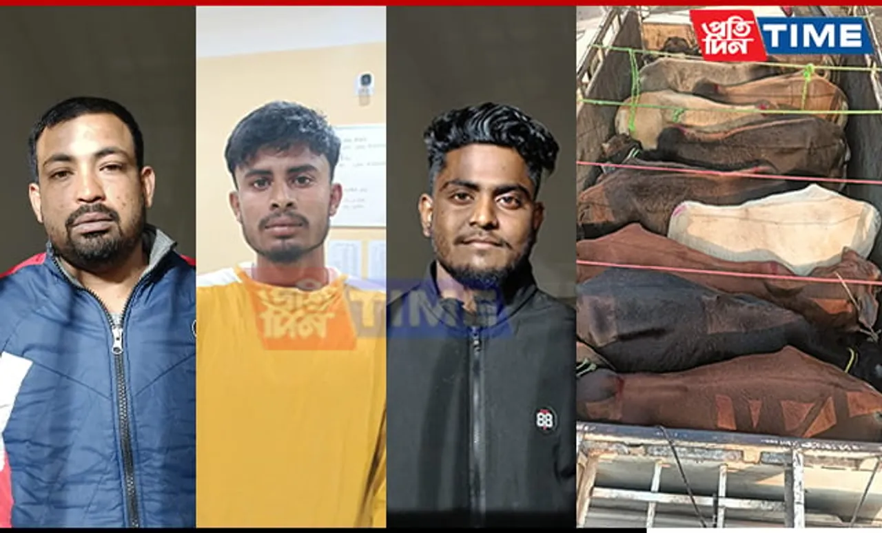 Police Seize Vehicle Carrying Illegal Cattle at Assam-Meghalaya Border, 3 Held