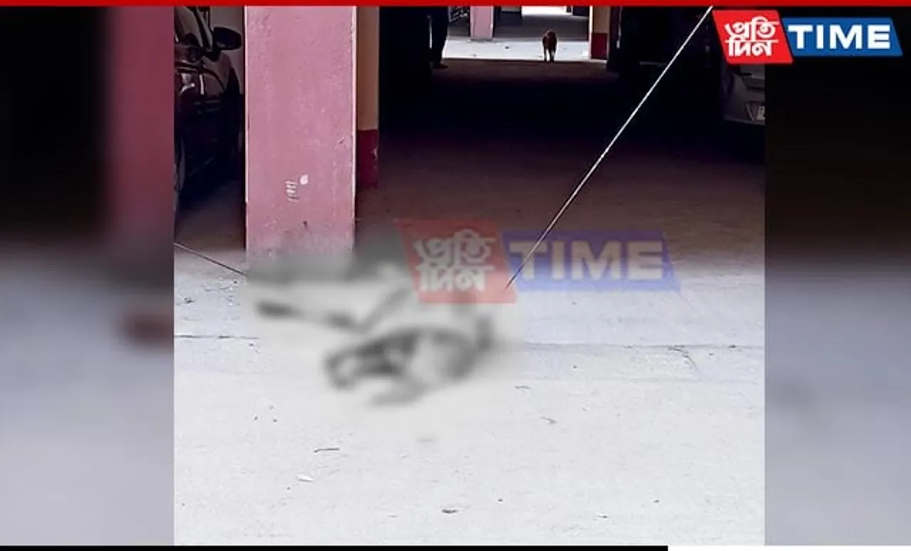 Guwahati: Woman Mysteriously Falls Off Building, Dies