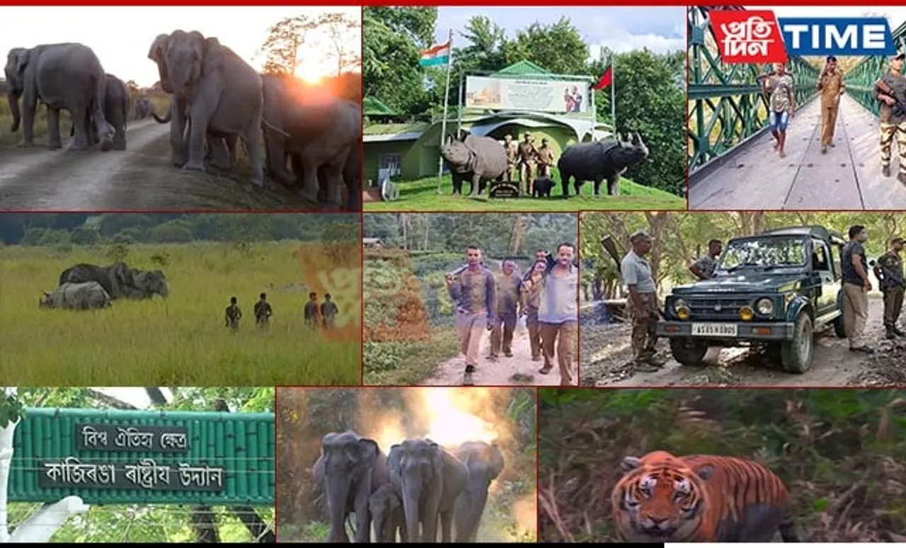 Conserving Wildlife for 50 Years: Kaziranga National Park's Milestone Anniversary