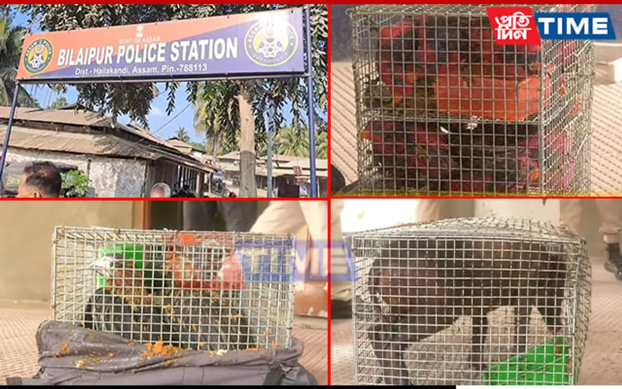 Assam: 52 Indonesian Birds and Animals Rescued from Smuggling; 2 Arrested