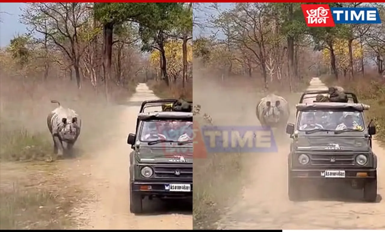 WATCH: Rhino Charges at Safari Vehicle In Manas National Park; Second Incident In One Week