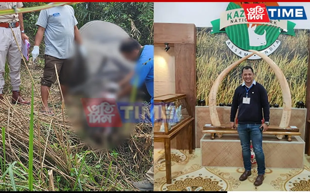 Controversy Surrounding Death of Horn-less Rhino in Kaziranga