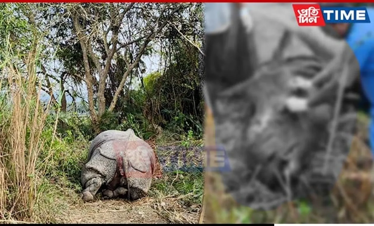Reports of Rhino-Poaching Incident at Kaziranga Misleading & Inaccurate