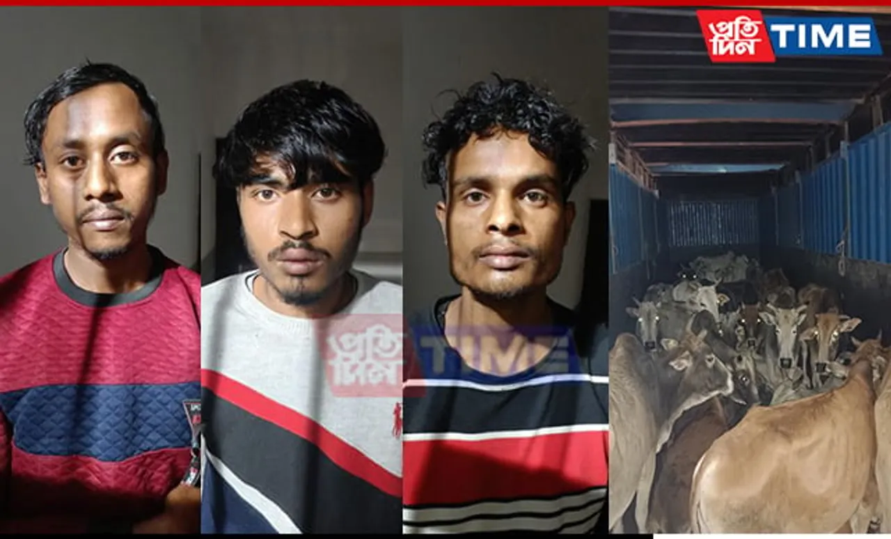 Assam Police Rescue 28 Cattle Heads from Jorabat; 3 Apprehended