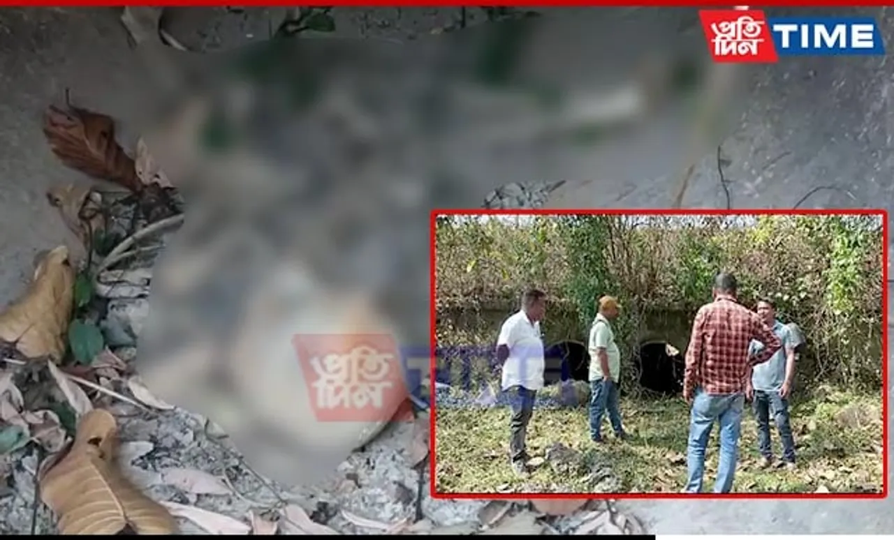 Assam: Mysterious Skeleton Recovered in Chhaygaon; Probe On