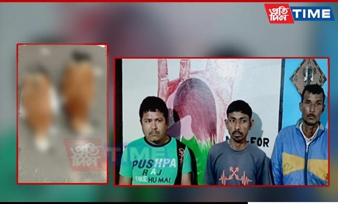 Three Arrested for Killing Migratory Birds in Assam's Biswanath
