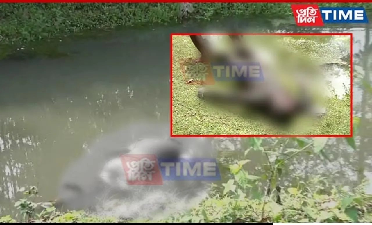 Cop Found Dead Under Mysterious Circumstances in Golaghat; Probe On