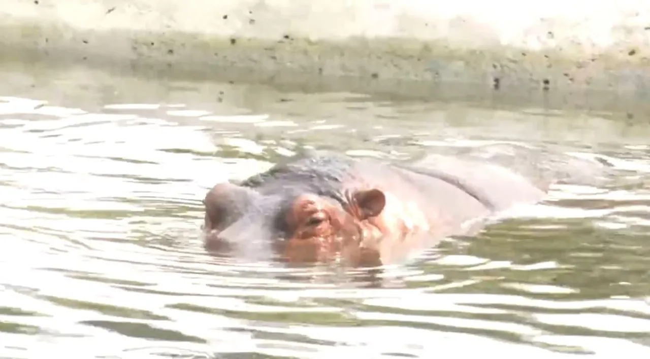 Tripura Zoo Implements Measures To Protect Animals During Heatwave