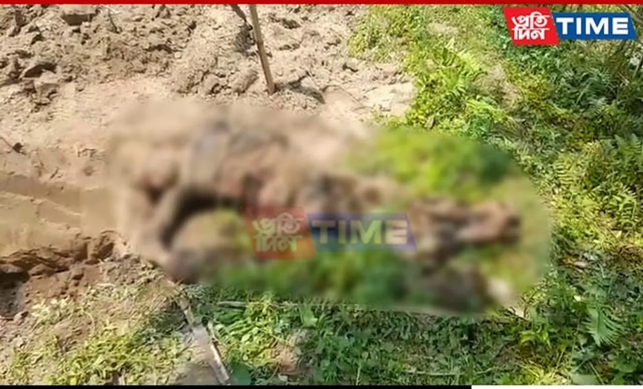 Assam: Missing Man Found Buried In Backyard