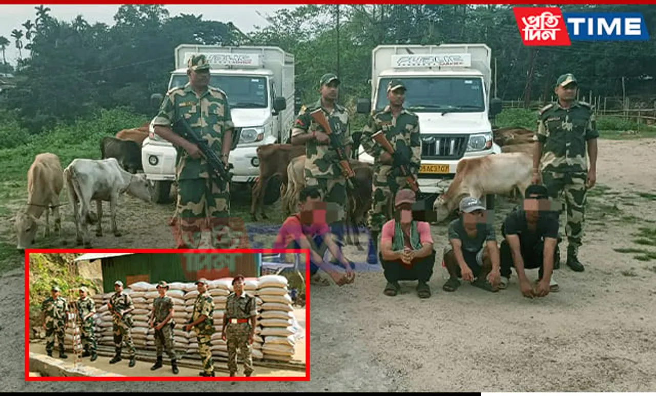 BSF M’laya Thwarts Cattle & Sugar Smuggling Attempts, Apprehends 4 on Int’l Border