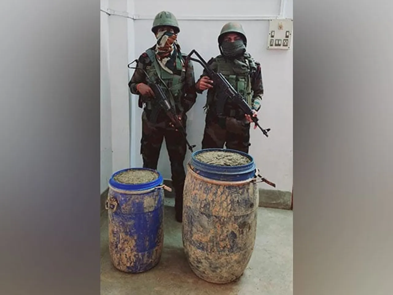 Assam Rifles, DRI Seize 62 kg Cannabis Worth Rs 27.9 Lakh In Tripura Raid