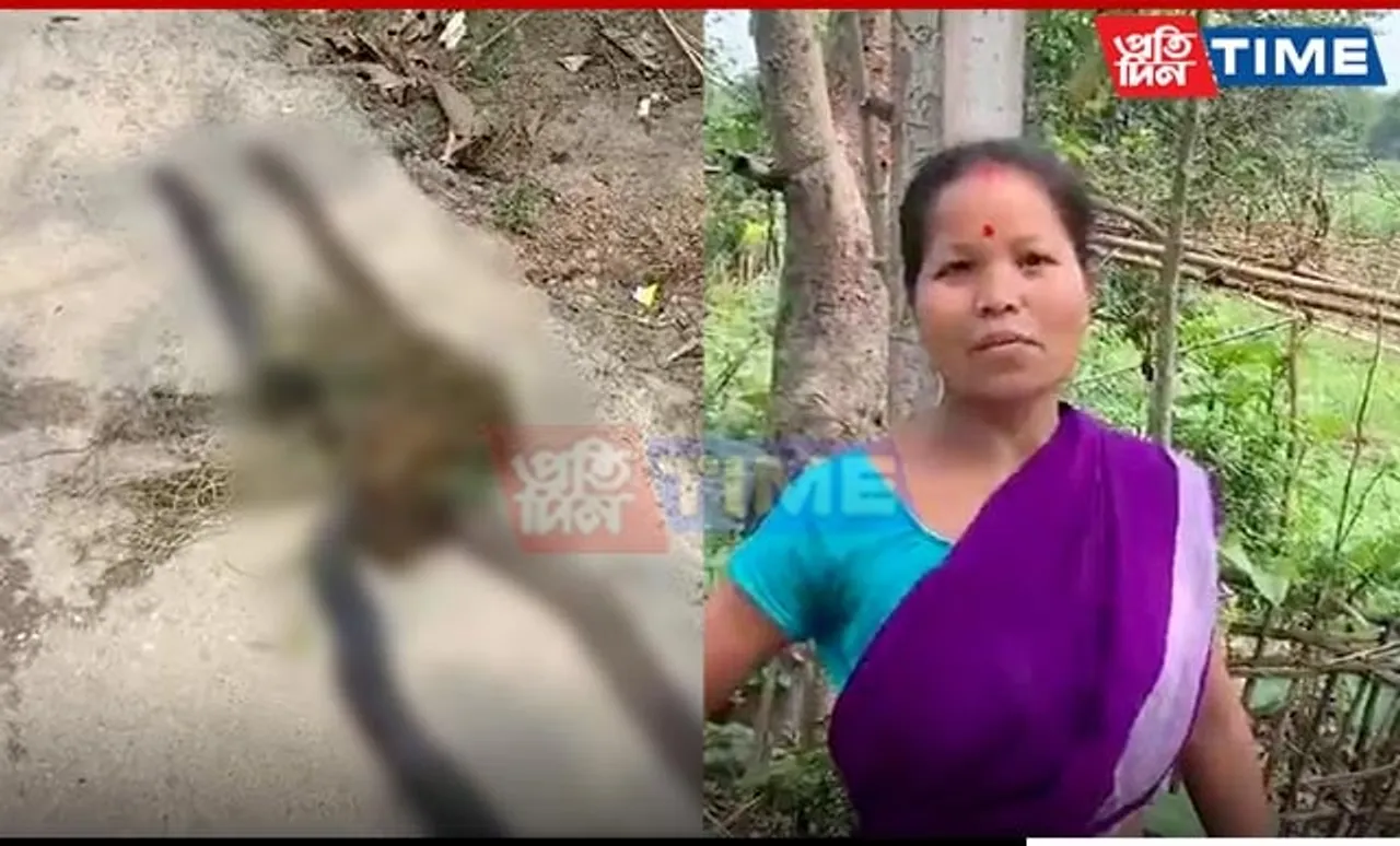 Woman Claims to Have Killed 25 Snakes in Viral Video from Assam’s Majuli