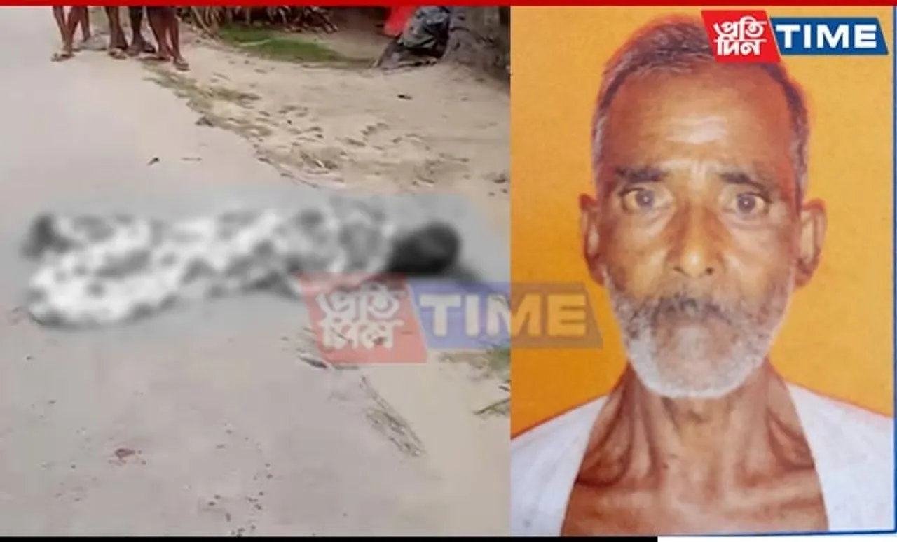 Elderly Man Killed in Elephant Attack in Assam's Kaliabor