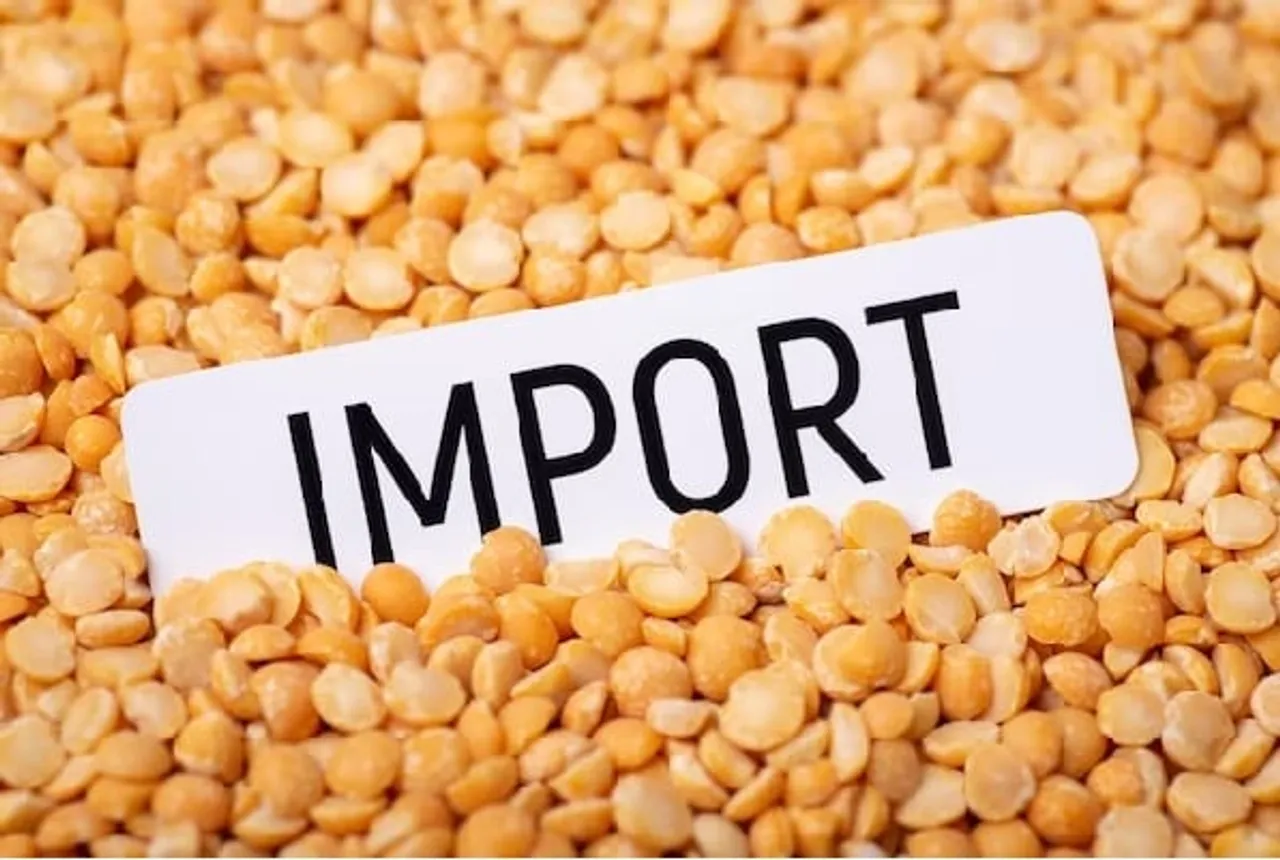 India Extends Duty-Free Yellow Peas Import Till October 2024