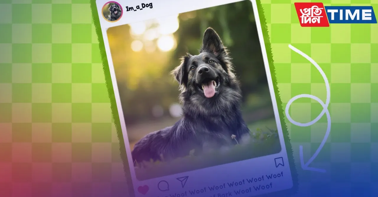 40 Instagram Captions for Dogs That Are Paw-some