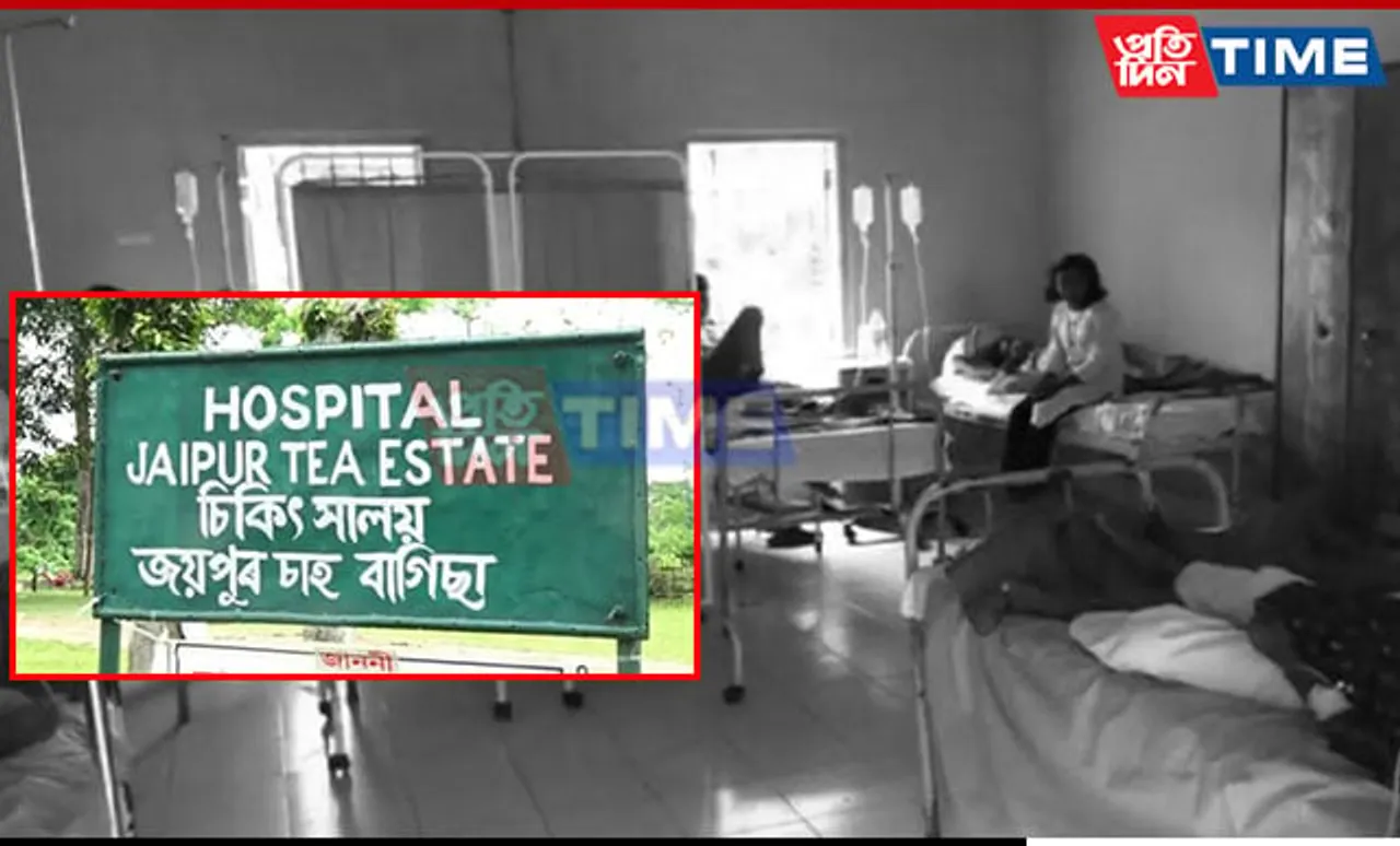 Assam: Diarrhoea Outbreak in Jaipur Tea Estate Claims 2 Lives, Over 70 Affected