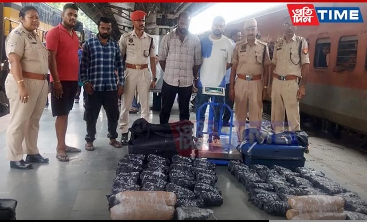 Guwahati: Assam Police Seize 44.3 kg Cannabis, Two Held