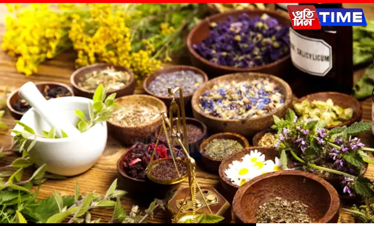 Boost Your Immunity This Monsoon with These 6 Powerful Herbs