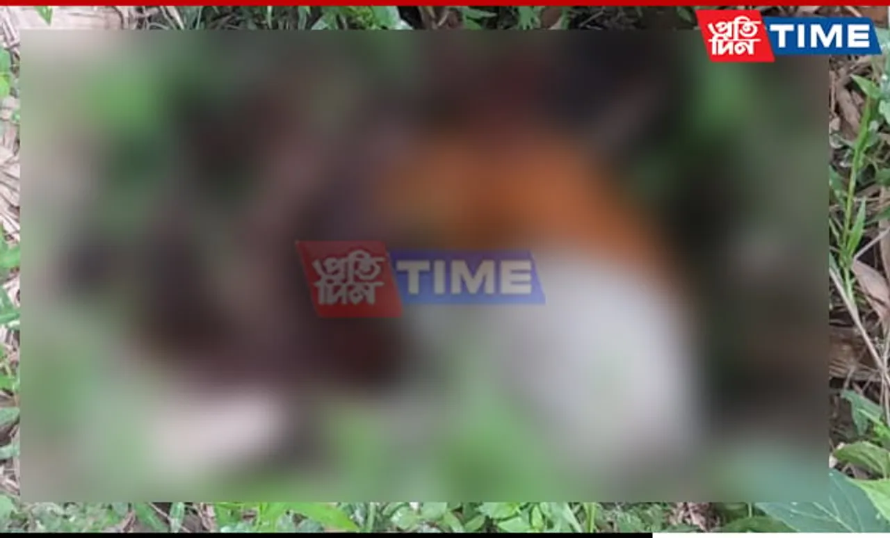 Assam: Man Falls into Open Pit at Jio Tower Installation Site, Dies