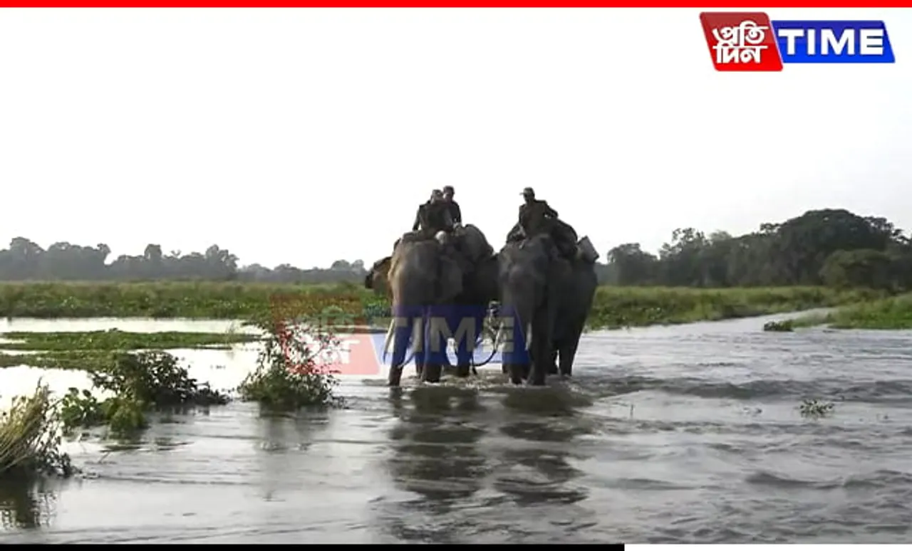 Assam: Traffic Diversion Notification Issued for NH 715 to Protect Wildlife During Floods