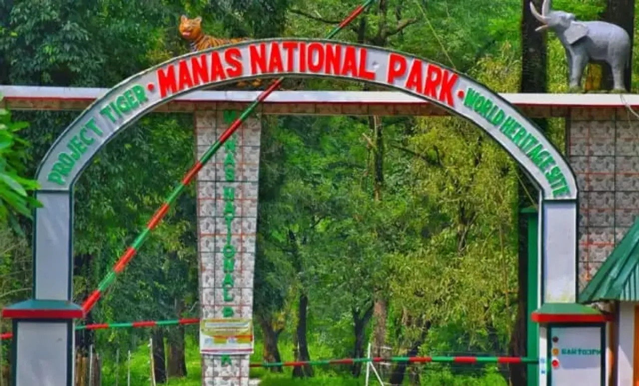 Manas National Park To Open For 2024-25 Season From Sept 27